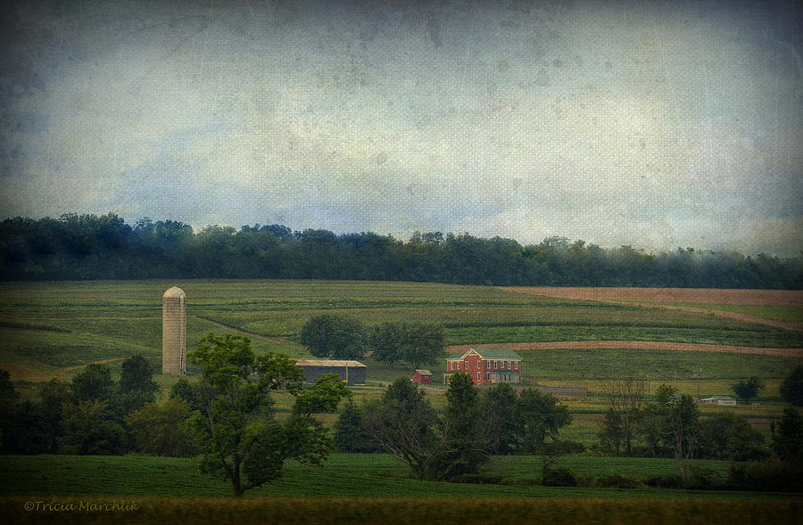 Pennsylvania Farm Photograph by Tricia Marchlik