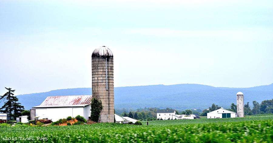 Pennsylvania Farms Photograph by Tara Potts