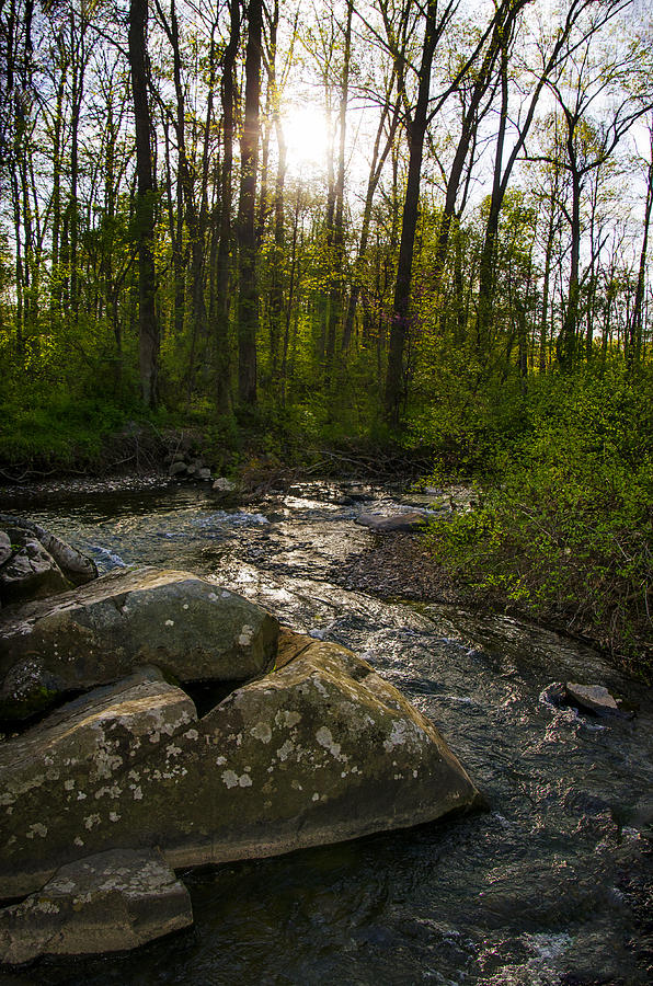 Pennsylvania Mountain Stream Photograph by Bill Cannon