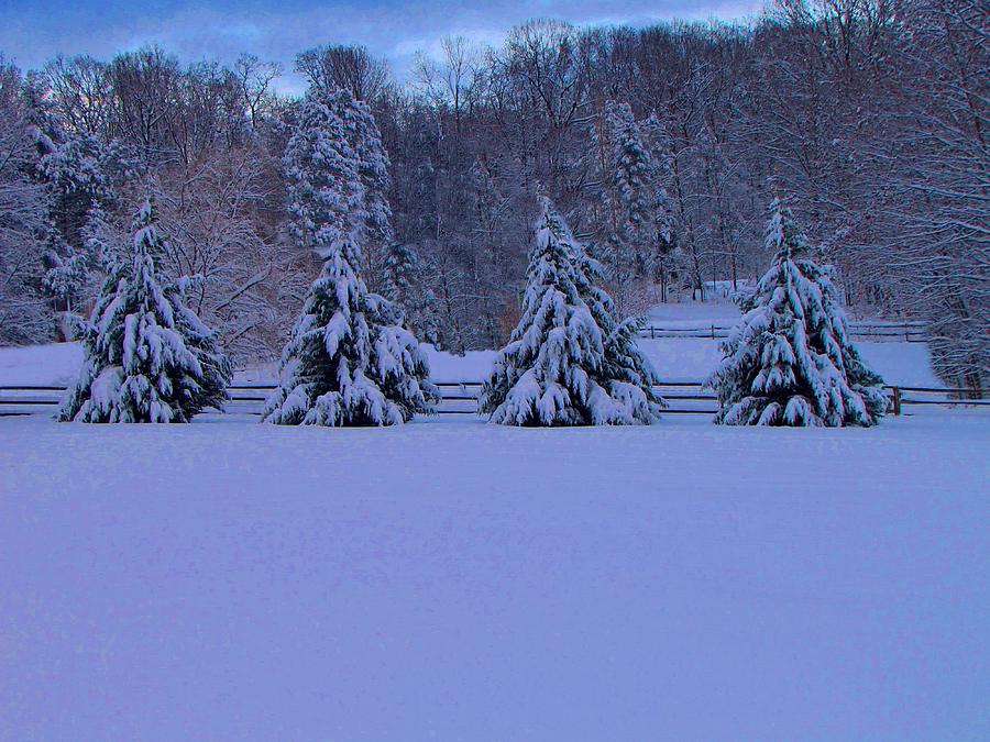 Pennsylvania Snowy Wonderland Photograph by David Dehner
