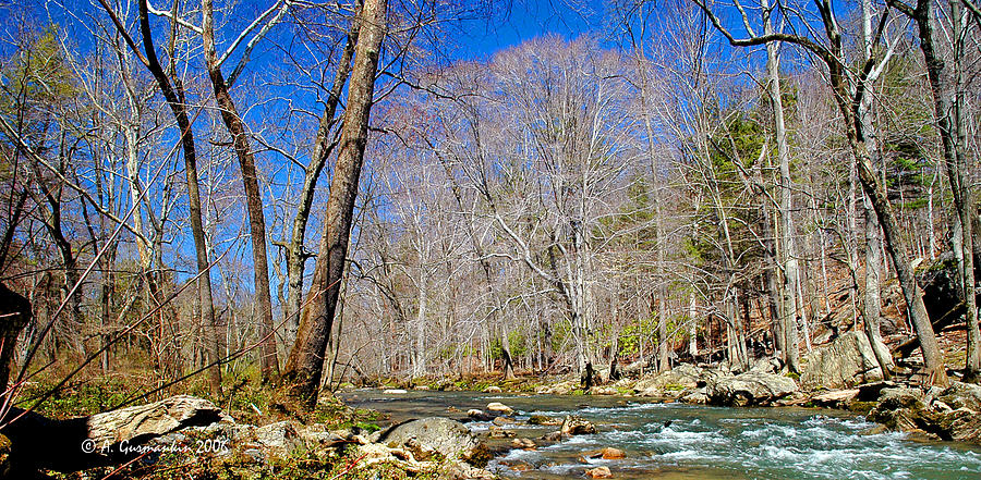 Pennsylvania Stream in Spring Photograph by A Macarthur Gurmankin