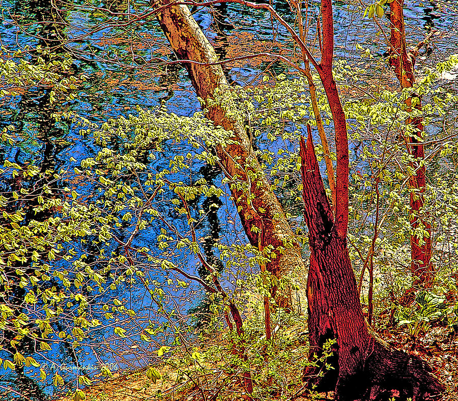 Pennsylvania Stream in Spring Poster Image Photograph by A Macarthur Gurmankin