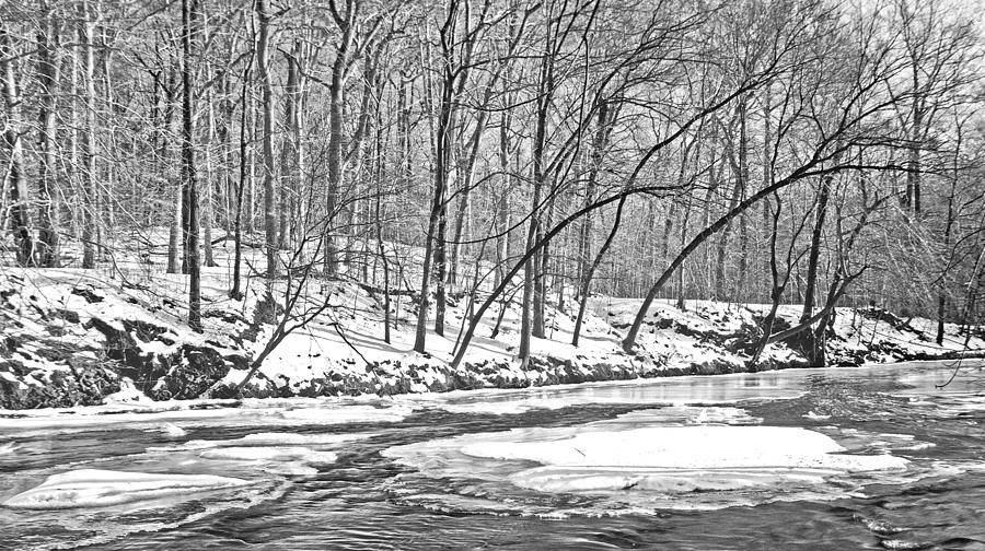 Pennsylvania Winter Icy Stream Photograph by A Macarthur Gurmankin