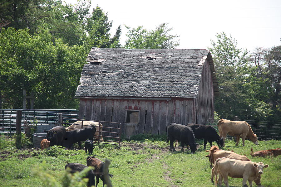 Pennville Barn Photograph by Kathryn Cornett