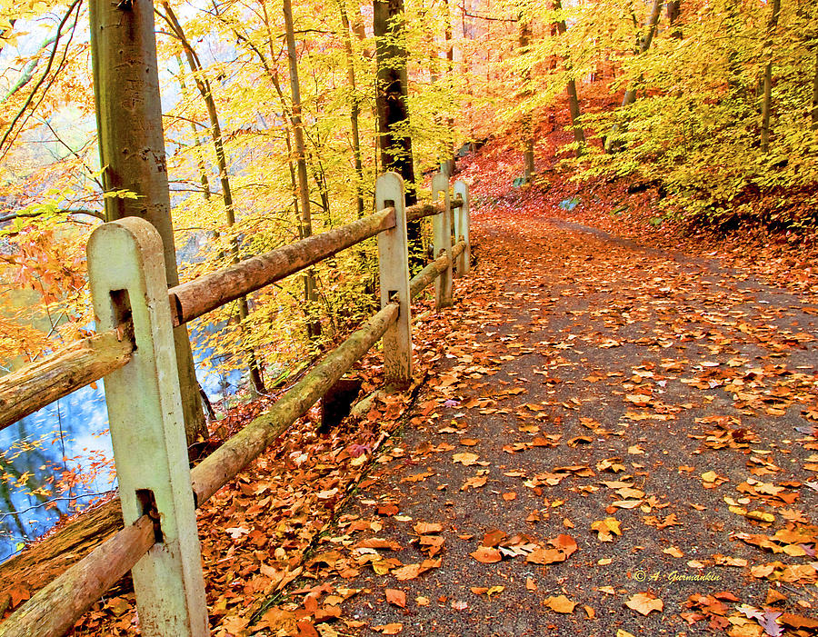 Pennypack Trail Philadelphia Fall Photograph by A Macarthur Gurmankin