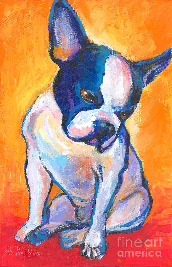 Impressionism Painting - Pensive Boston Terrier Dog  by Svetlana Novikova