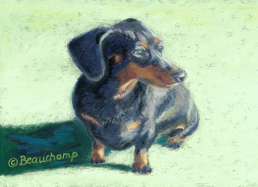 Dog Pastel - Pensive Dachshund by Nancy Beauchamp