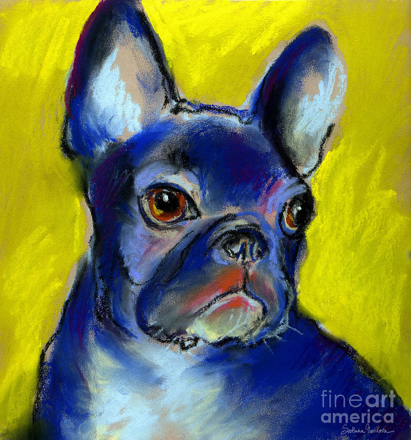 Pensive French Bulldog portrait Painting by Svetlana Novikova