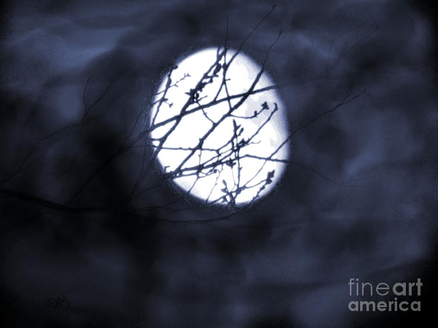 Tree Photograph - Pentacle Moon by Roxy Riou