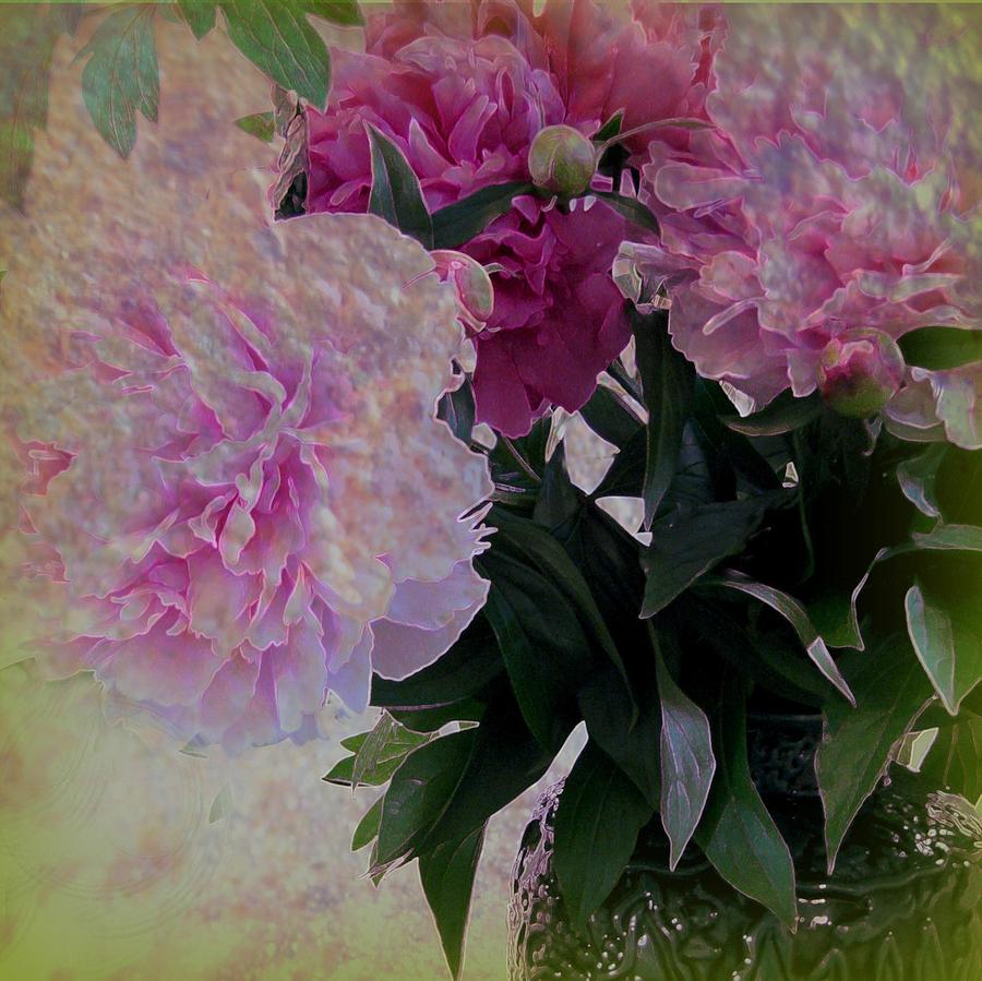 Still Life Photograph - Peonies 2 by Shirley Sirois