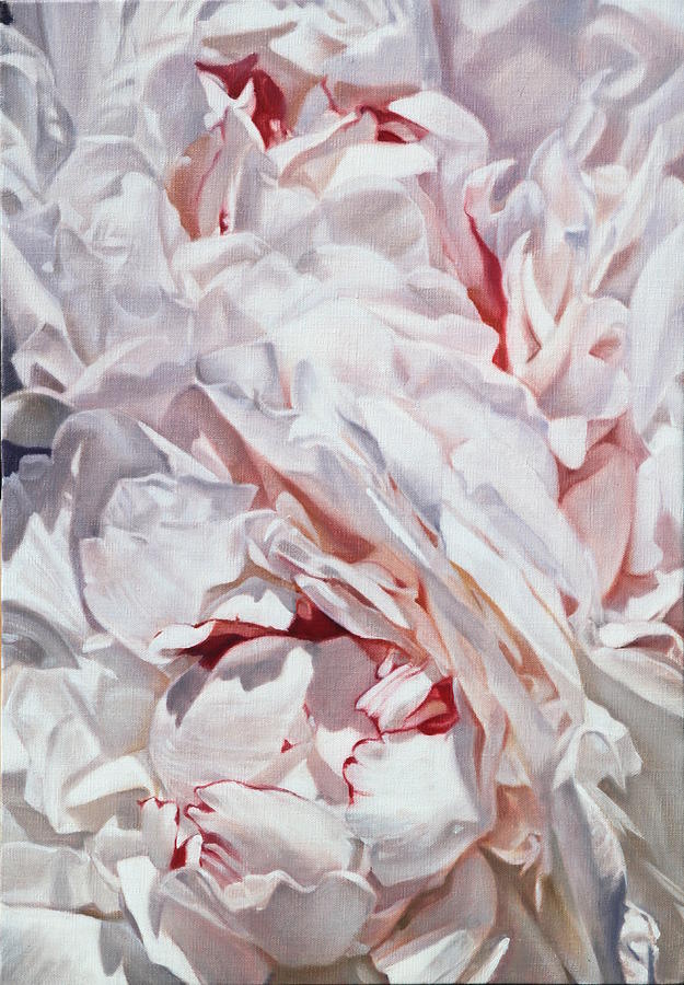 Peonies petals 55 x 38cm Painting by Thomas Darnell