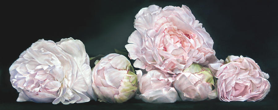 Peonies Vl, 61 x 152 cm Painting by Thomas Darnell