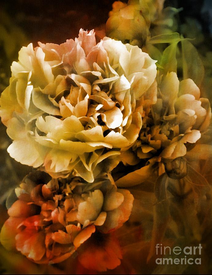 Peony Enhancement 2 Photograph by Michelle Frizzell-Thompson