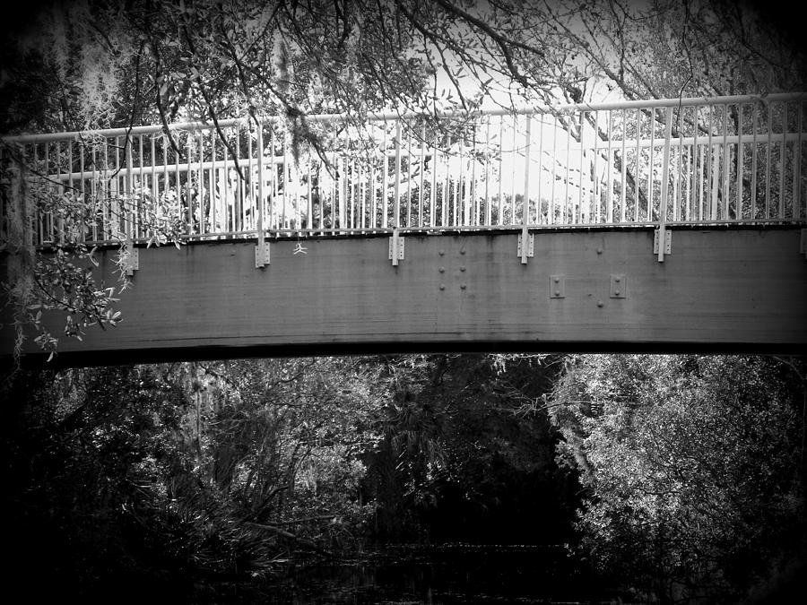 Pepper Creek Bridge Photograph by Sheri McLeroy
