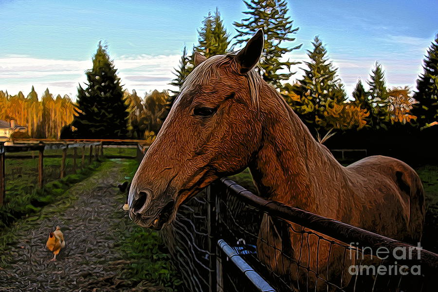 Horse Digital Art - Pepper by Jen  Brooks Art