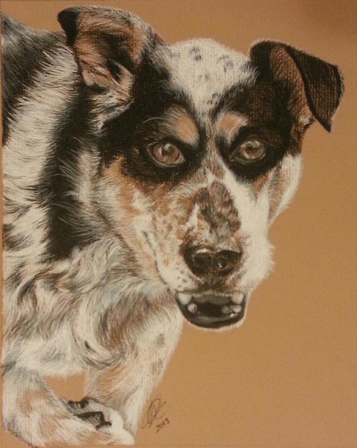 Pepper Drawing by Melissa Sink - Fine Art America