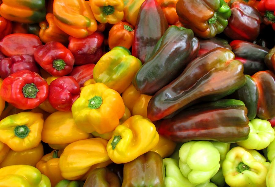 Pepper Rainbow Photograph by Brenda Pressnall - Fine Art America