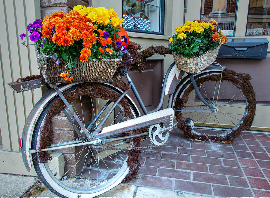 Pepperberries Bike Photograph by Cindy Archbell
