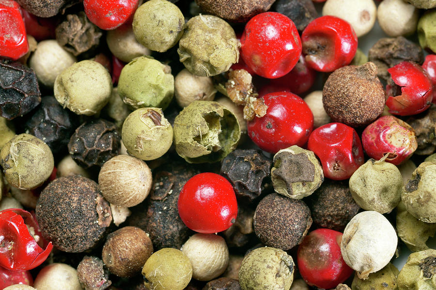 Peppercorns Photograph by Pascal Goetgheluck/science Photo Library Pixels