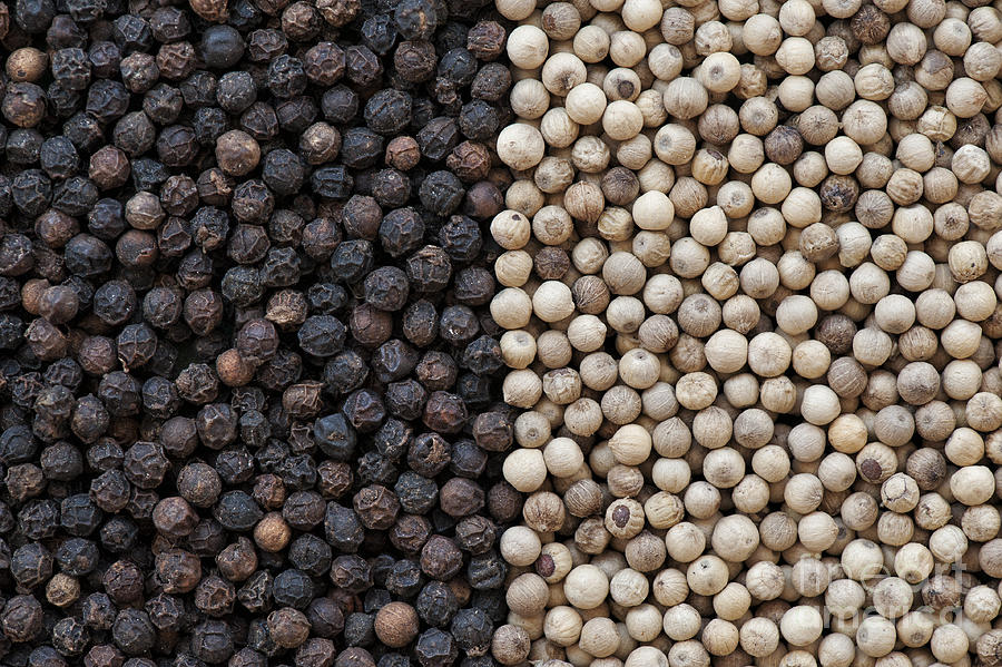 Pattern Photograph - Peppercorns by Tim Gainey