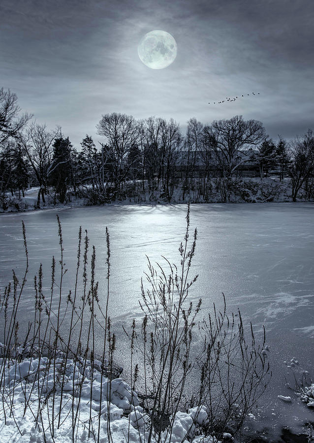 Winter Photograph - Peppermint Moon by Robin-Lee Vieira