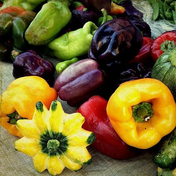 Vegetable Photograph - Peppers and Squash  by Charlene Mitchell