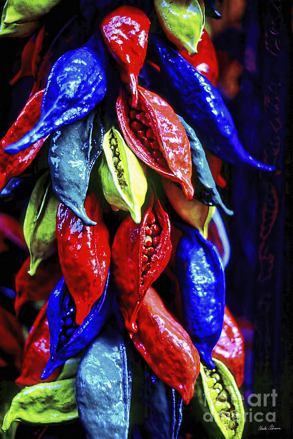 Peppers Photograph by Charles Abrams