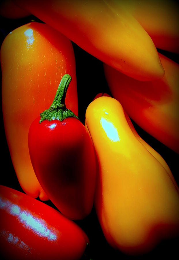 Peppers Photograph by Guy Pettingell
