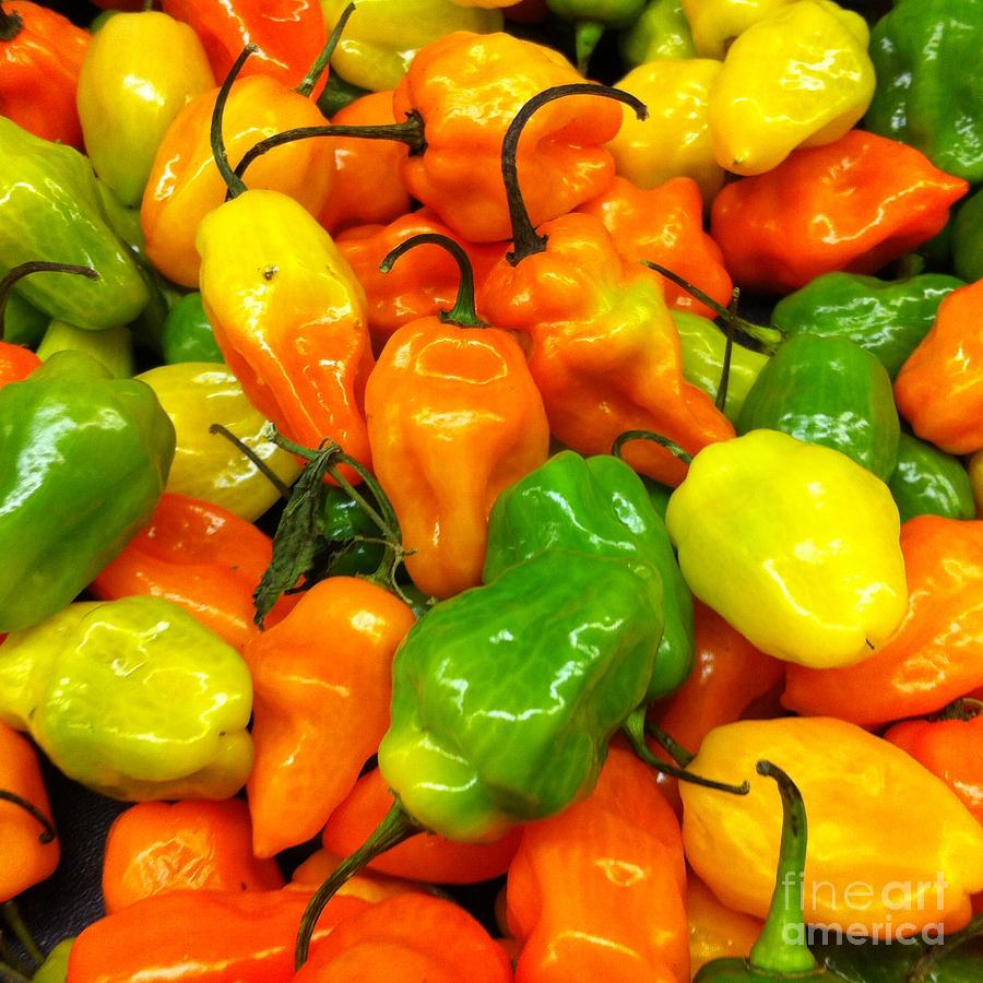 Pepper Photograph - Peppers by WaLdEmAr BoRrErO