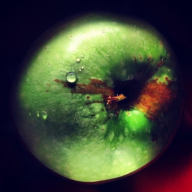 Apple Photograph - Pequeños Cariños #green #apple #drop by Anabelle Perez
