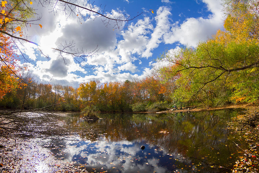Pond Reflection Photograph - Pequotsepos Duck Pond Reflection   by Kirkodd Photography Of New England