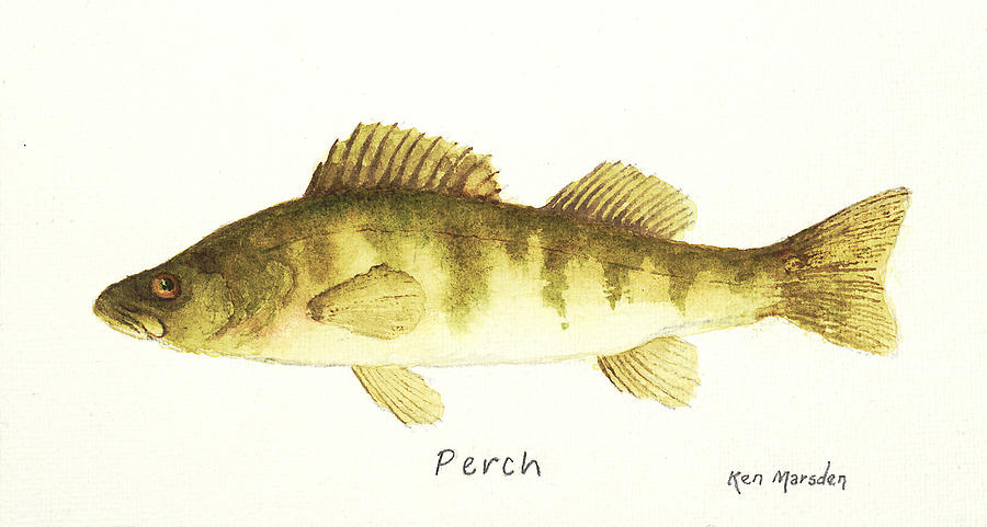 Perch Painting by Ken Marsden
