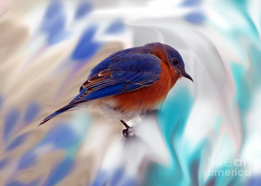 Bird Photograph - Perched in The Heavenlies by Lydia Holly