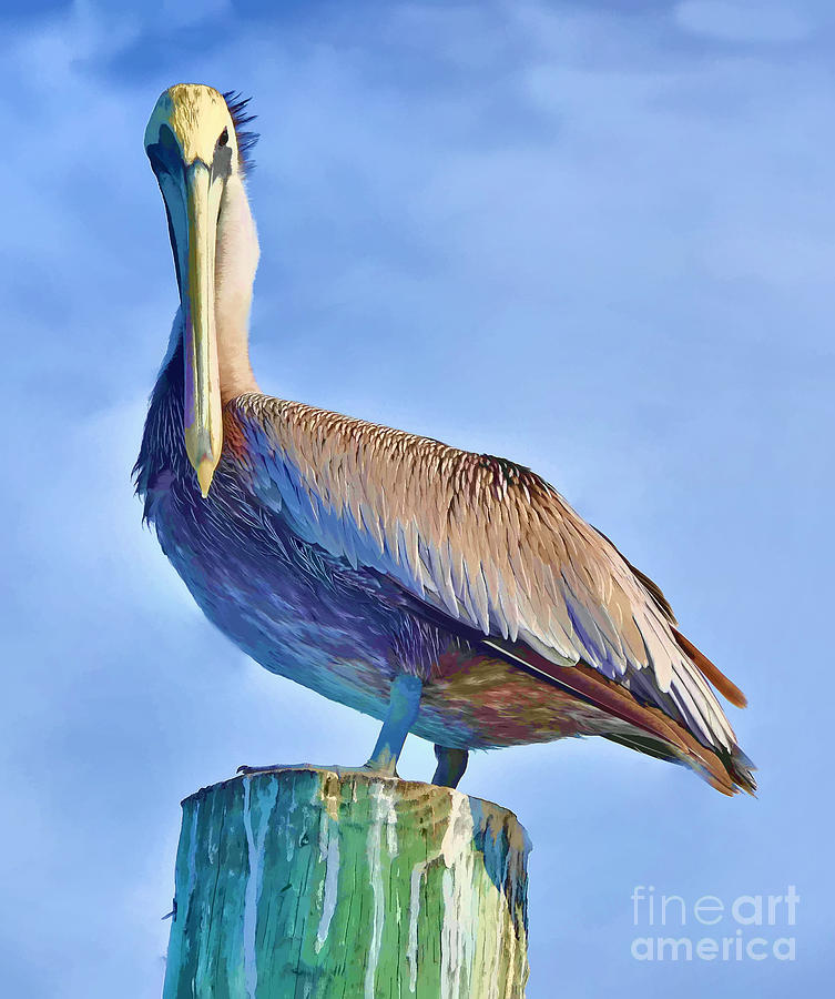 Perching Pelican Photograph by Chris Thaxter