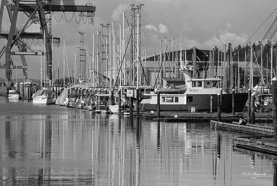 Percival Landing In Black and White Photograph by Jeanette C Landstrom