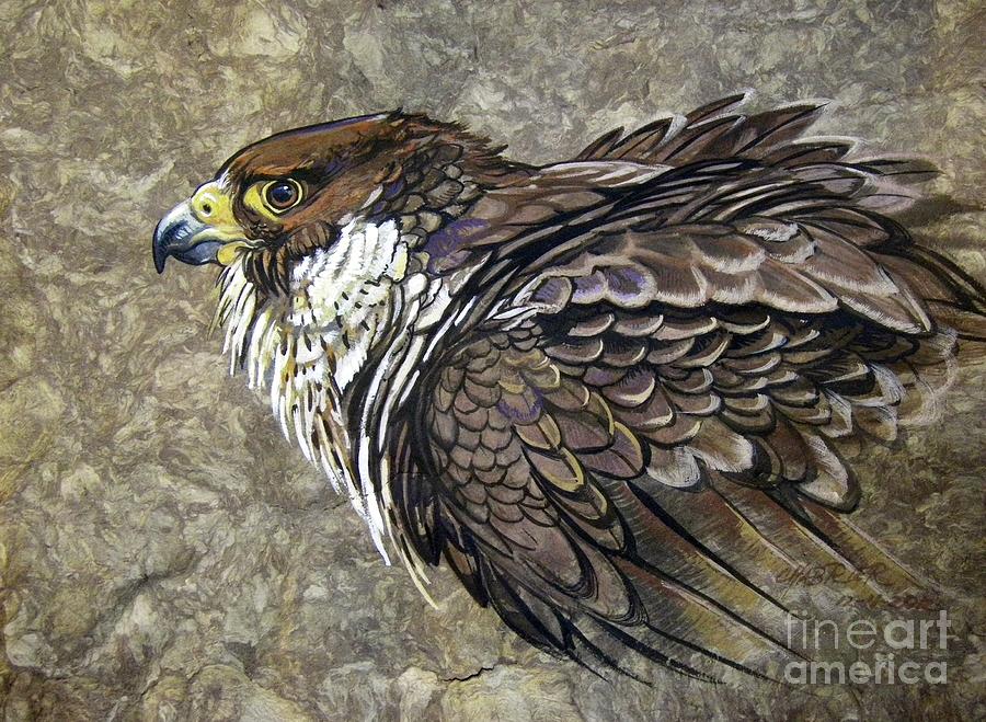 Peregrine Falcon Painting By Anne Shoemaker Magdaleno Fine Art America