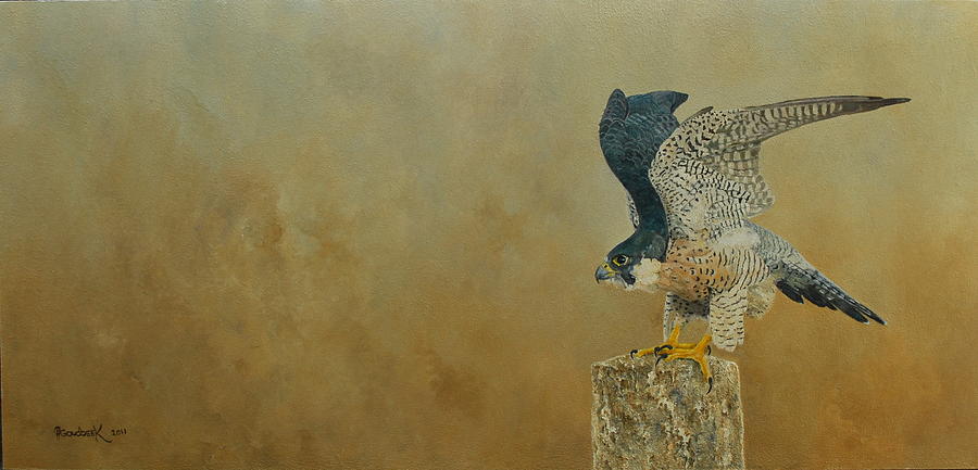 Nature Painting - Peregrine Falcon  by Erna Goudbeek