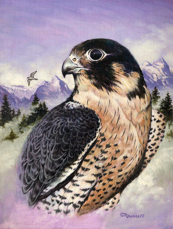 Peregrine Falcon Painting by Richard De Wolfe