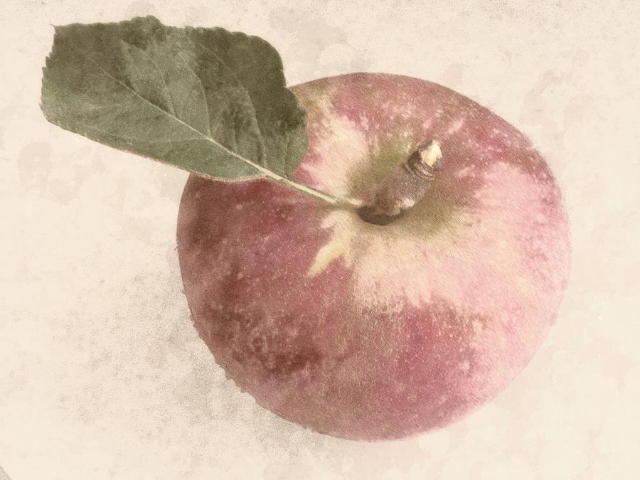 Perfect Apple Photograph by Photographic Arts And Design Studio