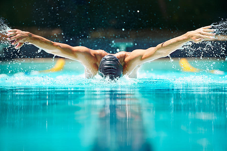 Perfect butterfly stroke! Photograph by PeopleImages