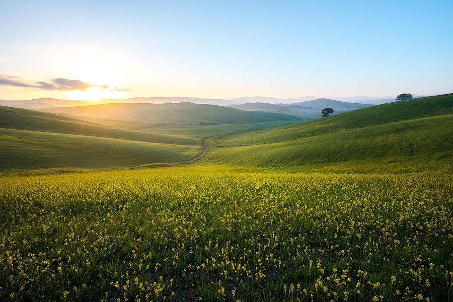 Perfect field of spring grass,Tuscany,Italy Photograph by Photograph by Nattachai Sesaud