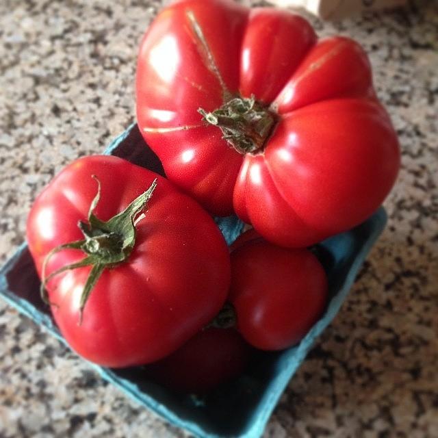 Tomato Photograph - Perfect Garden Tomatoes by Jordan Paris