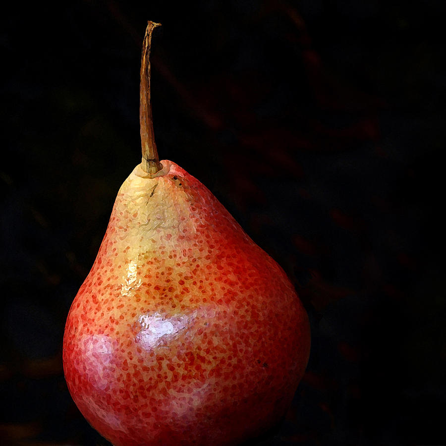 Perfect Pear Photograph by Karen Lynch