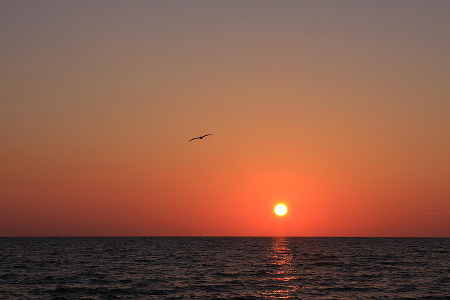 Perfect Sunset Photograph by Shari Jardina