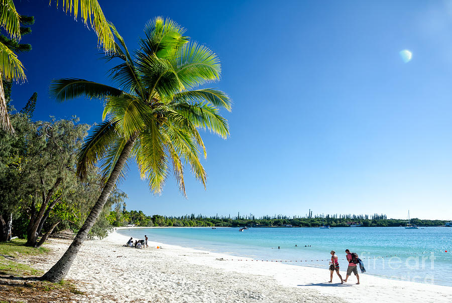 Beach Photograph - Perfect white sand beach with blue sky and blue sea - Isle of Pines - New Caledonia - South Pacific by David Hill