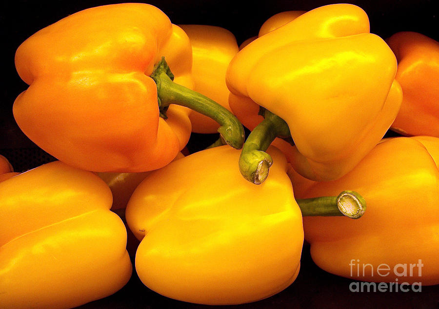 Perfect Yellow Peppers Photograph by Kathy Baccari