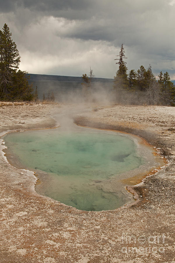 Perforated Pool in West Thumb Geyser Basin Photograph by Fred Stearns