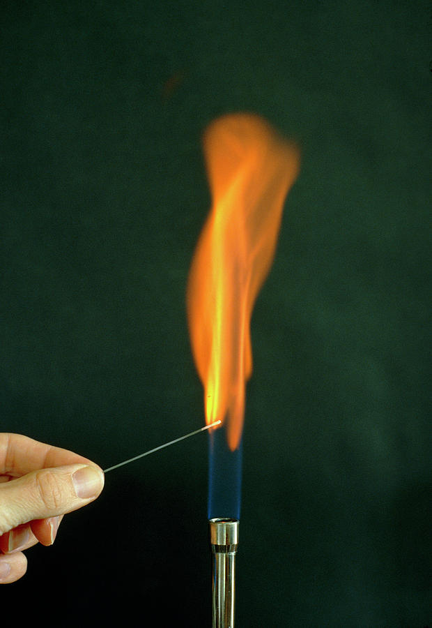 Flame Test Photograph - Performing A Calcium Flame Test by David Taylor/science Photo Library