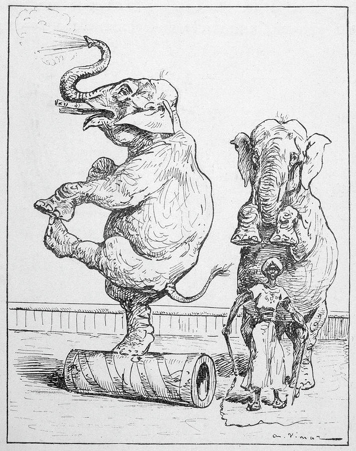 Performing Elephants With A Circus Drawing by Mary Evans Picture ...