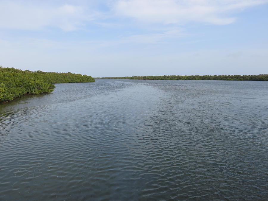 Perico Bayou Photograph by Jean Macaluso